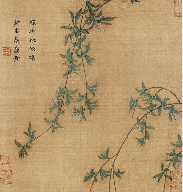 26f0-irtymmv7409057.jpg