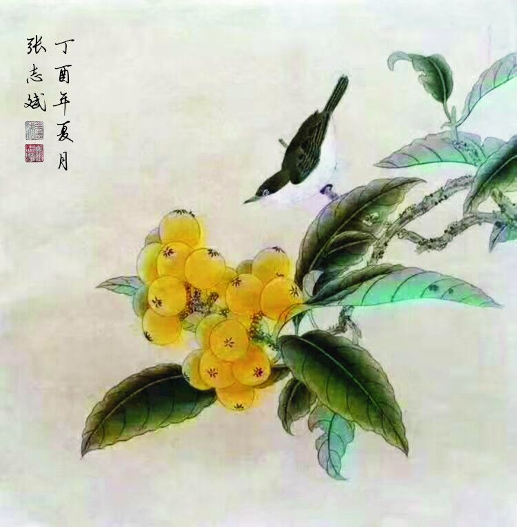 花鸟6.jpg